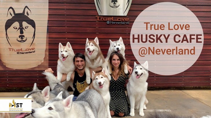 گشت و گذار در محله Ari در بانکوک