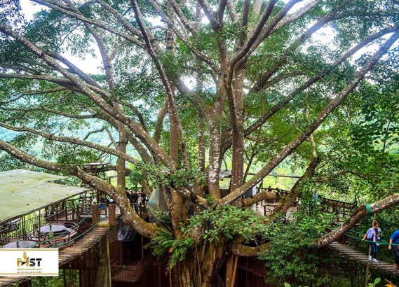 بهترین کافه‌های چیانگ مای تایلند