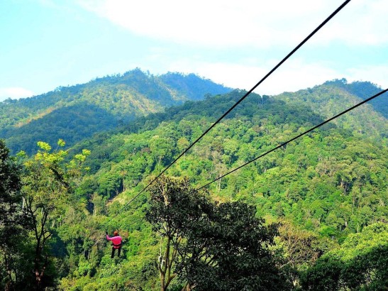 بهترین زیپ لاین های تایلند بهترین زیپ لاین های تایلند