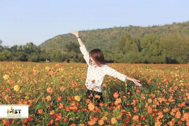 قدم زدن در زیباترین و رویاییترین باغها و مزارع گل تایلند قدم زدن در زیباترین و رویاییترین باغها و مزارع گل تایلند