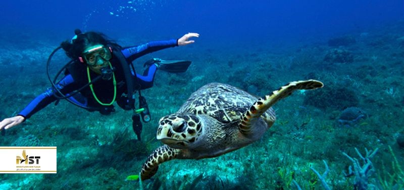 ۸ حقیقت درباره جزیره زیبای کرابی ۸ حقیقت درباره جزیره زیبای کرابی