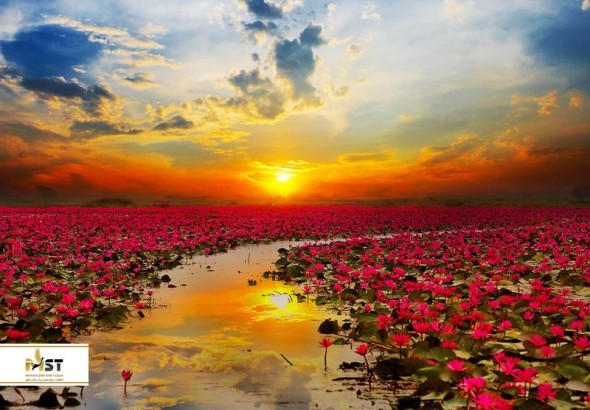 معرفی ۱۰ مکان خاص و رویایی در تایلند