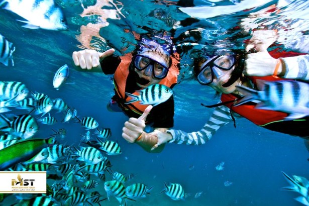 ۵ ساحل جذاب ساموئی که باید غواصی آنجا را امتحان کنید ۵ ساحل جذاب ساموئی که باید غواصی آنجا را امتحان کنید