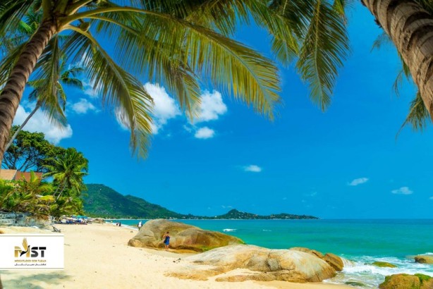 چرا باید به کوه سامویی سفر کنید چرا باید به کوه سامویی سفر کنید