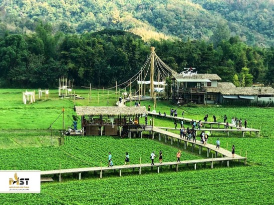 خاص‌ترین کافه‌ها و رستوران‌های چیانگ‌ مای، تایلند