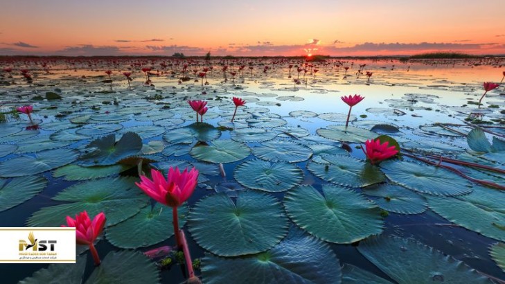 مناطق جادویی تایلند که حتما باید به دیدنشان بروید