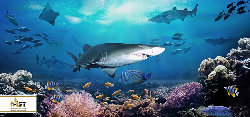 آکواریوم بزرگ Aqua Vega در آنکارا