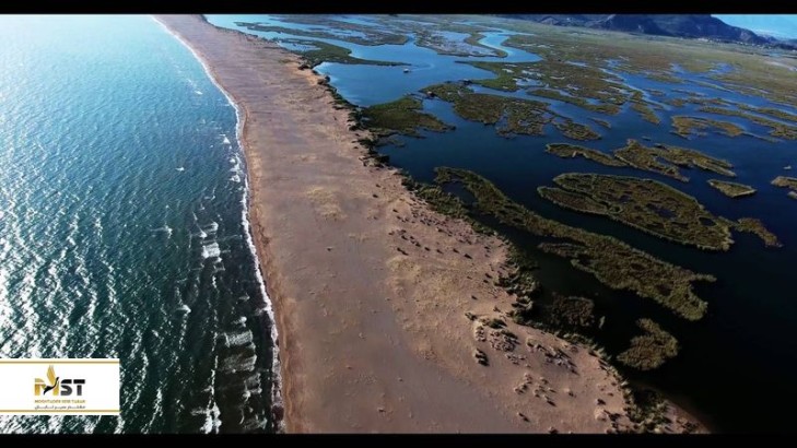 از ساحل لاک‌پشت‌ها تا شنا با دلفین‌ها در مارماریس