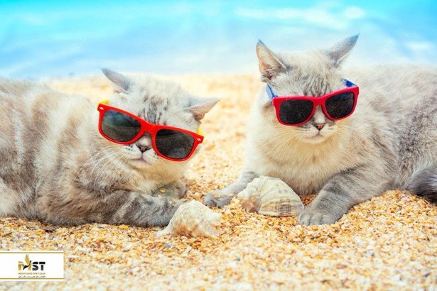 هتل‌های دوستدار حیوانات خانگی در بلک آنتالیا: بخش اول