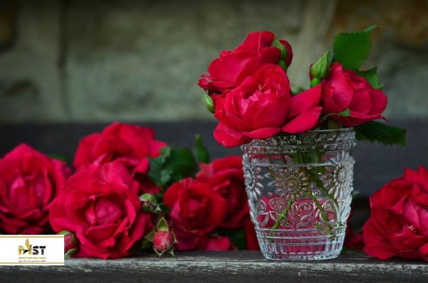 توصیه‌هایی برای حفظ زیبایی در سفر به ترکیه