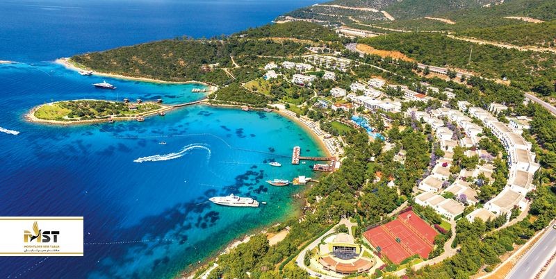 اطلاعات ضروری که درباره بدروم نمیدانید اطلاعات ضروری که درباره بدروم نمیدانید