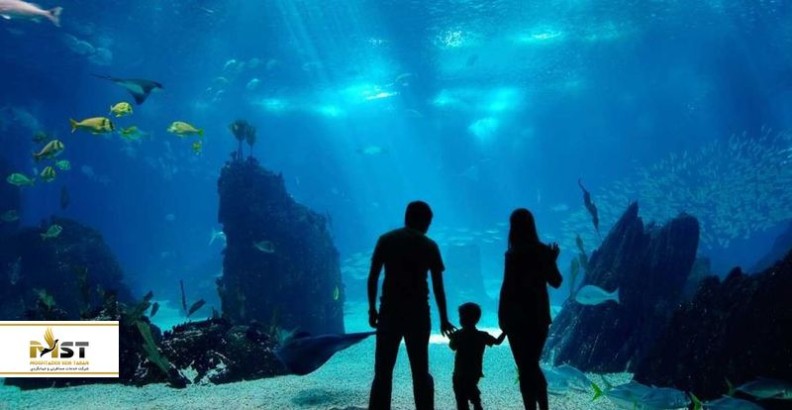 راهنمای کامل بازدید از آکواریوم‌های استانبول