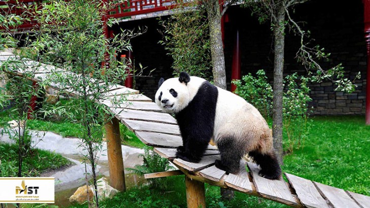 بزرگترین باغ وحش‌های استانبول (بخش اول)