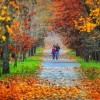 سفر به ترکیه در پاییز سفر به ترکیه در پاییز