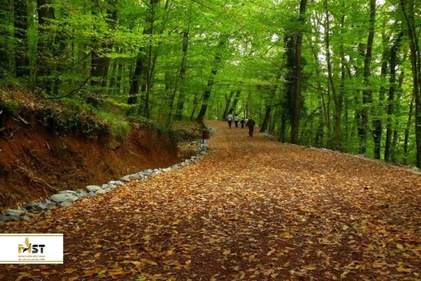 روزی فوق‌العاده در پارک‌های جنگلی استانبول
