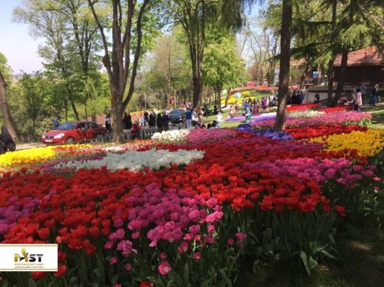 رویاییترین پارکهای استانبول در فصل بهار رویاییترین پارکهای استانبول در فصل بهار
