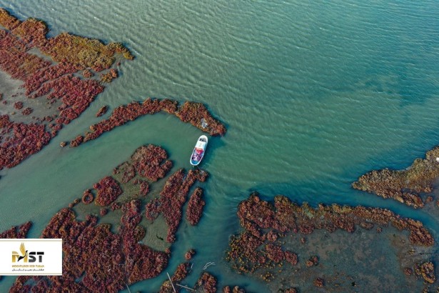 بازدید از دلتا گدیز و فلامینگوها در ازمیر