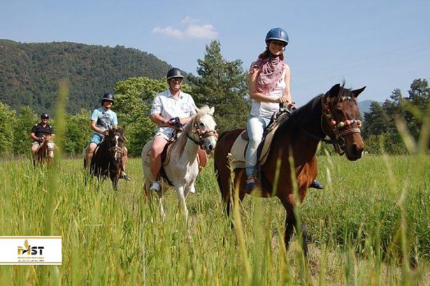 ۸ تور برای دیدن حیات وحش کوش آداسی ۸ تور برای دیدن حیات وحش کوش آداسی