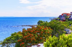 تور بلغارستان