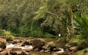 محوطه هتل محوطه هتل