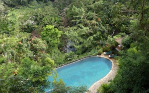 محوطه هتل محوطه هتل