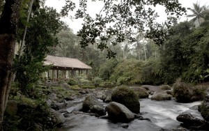 محوطه هتل محوطه هتل