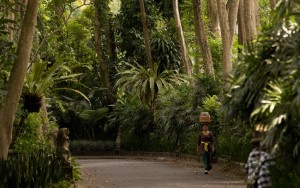 محوطه هتل محوطه هتل