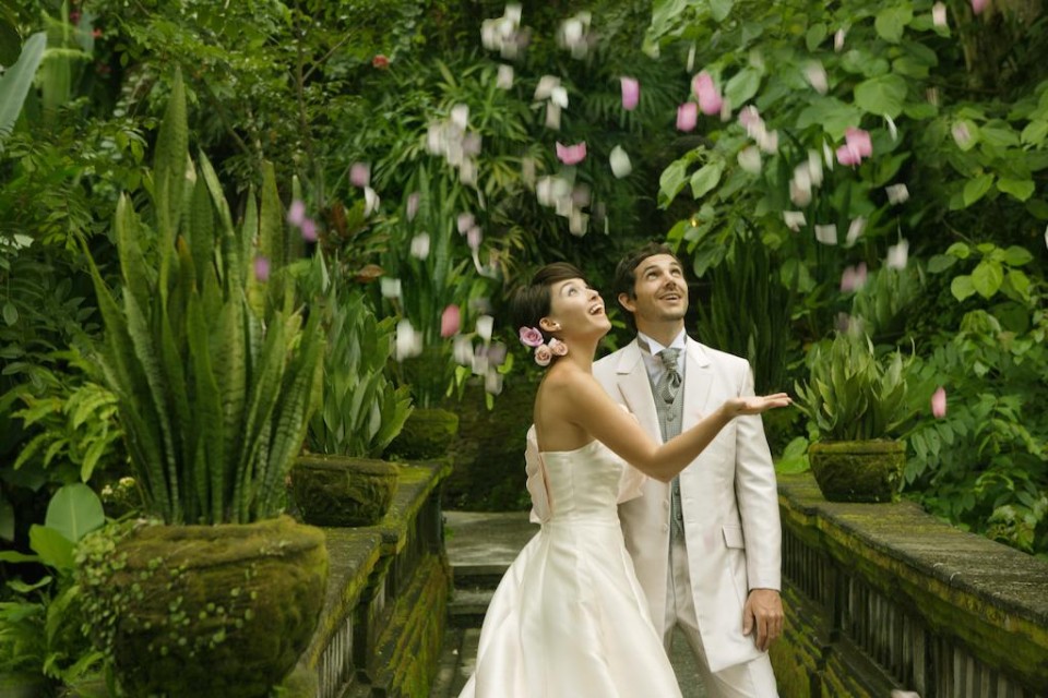 مجموعه عروسی