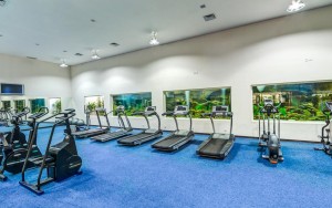 باشگاه ورزشی