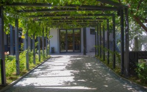 محوطه هتل محوطه هتل