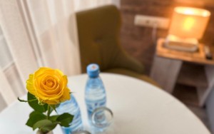hotels-Armenia-Yerevan-Regard-424627882-bb880fb51c6b9371b902060267e97128.jpg