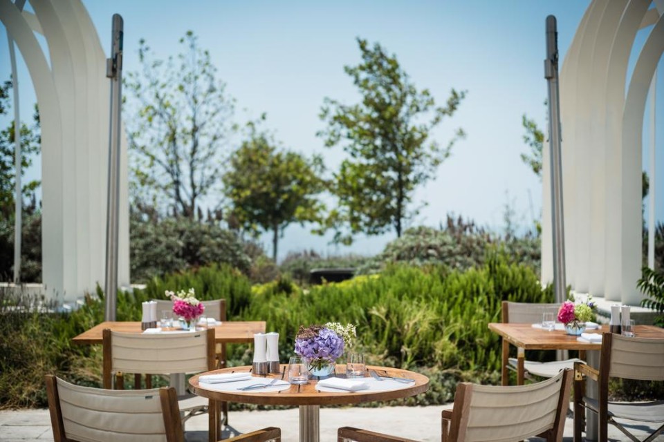 رستوران رستوران