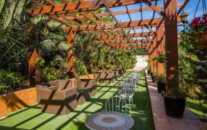 رستوران رستوران