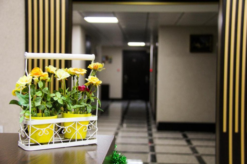 محوطه هتل محوطه هتل