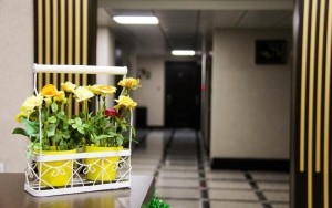 محوطه هتل محوطه هتل