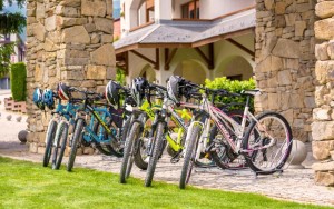 دوچرخه سواری دوچرخه سواری