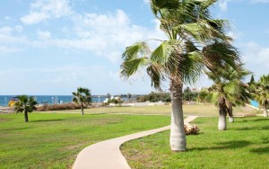 محوطه هتل محوطه هتل