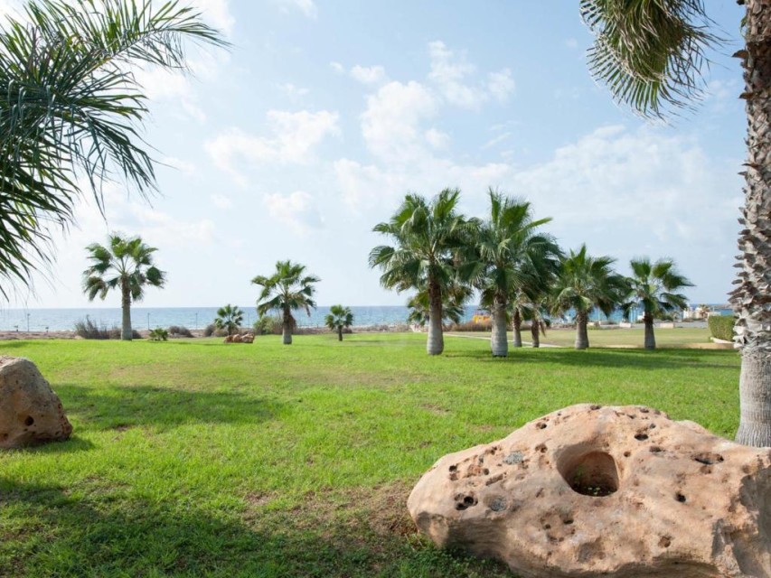 محوطه هتل محوطه هتل