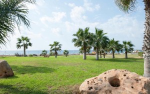 محوطه هتل محوطه هتل