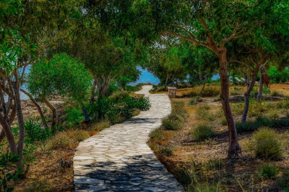 محوطه هتل محوطه هتل