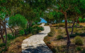 محوطه هتل محوطه هتل