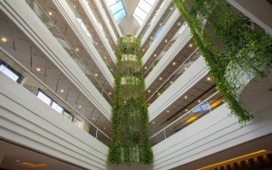 داخل هتل داخل هتل