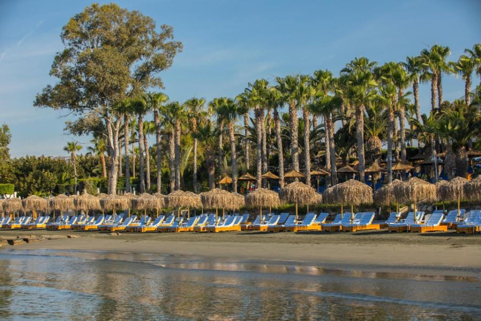 محوطه هتل محوطه هتل