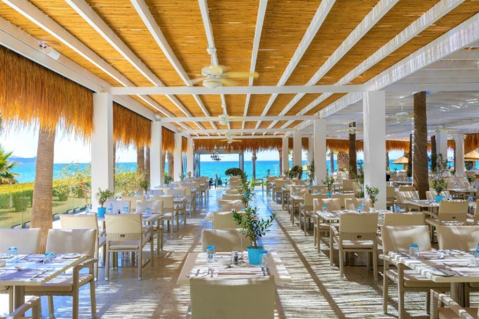 رستوران رستوران