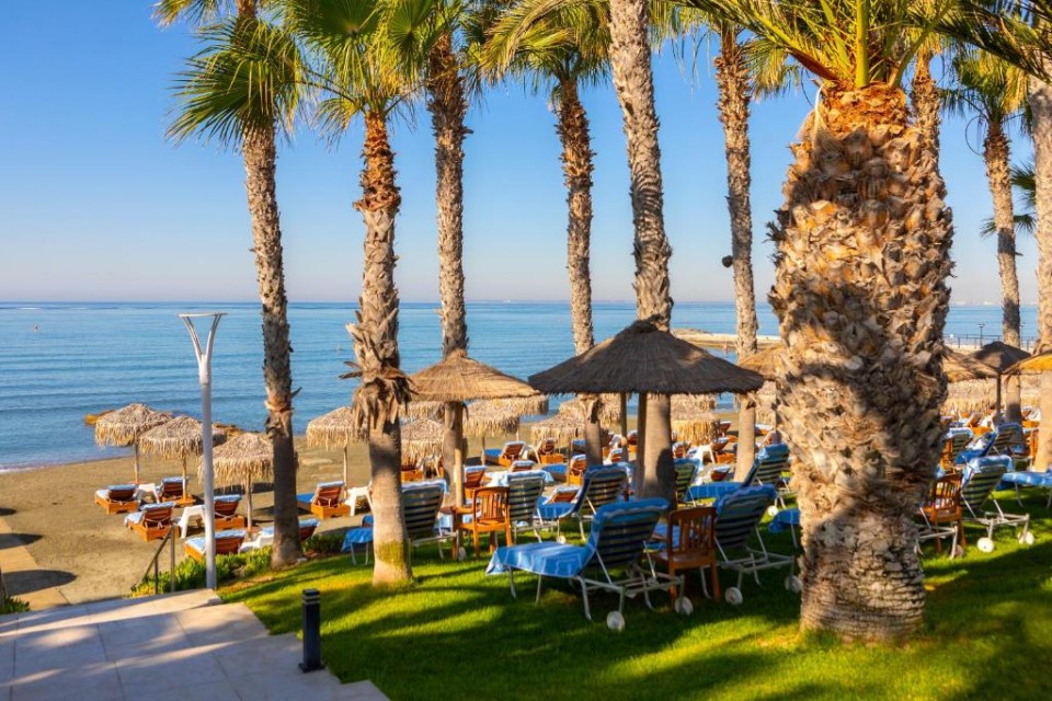 محوطه هتل محوطه هتل