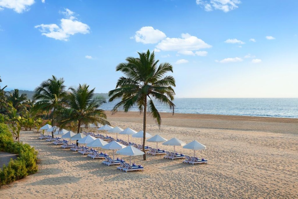 ساحل اختصاصی