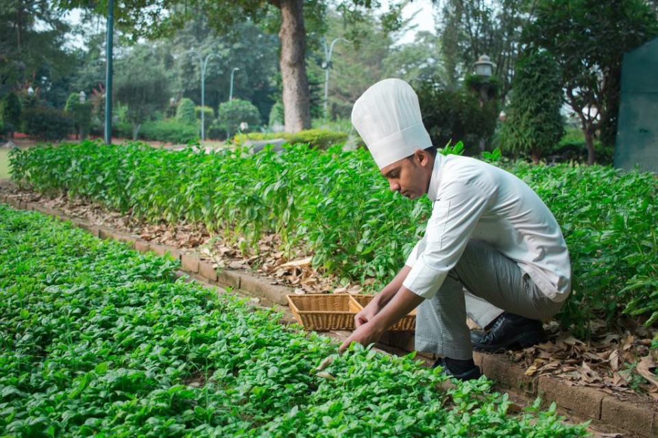 محوطه هتل محوطه هتل