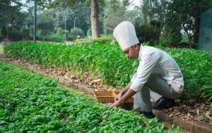 محوطه هتل محوطه هتل