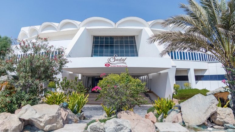 محوطه هتل محوطه هتل