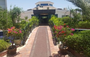 محوطه محوطه